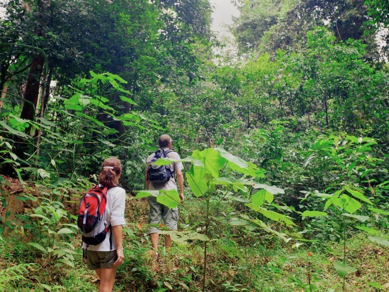 Camping Verblijfpark Breebos