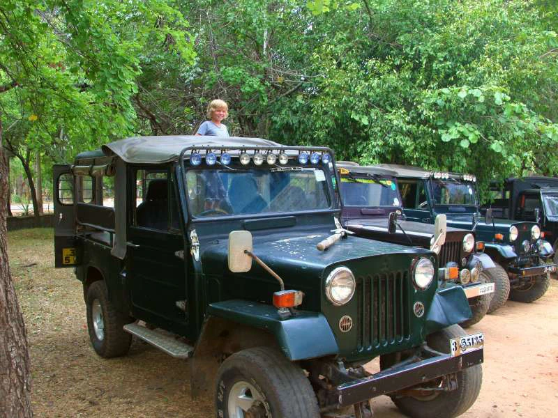 riksja-travel-srilanka-family-minneriya-safari-jeep