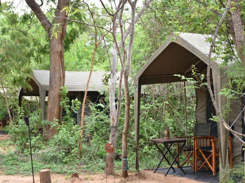 Special Stay Yala NP
