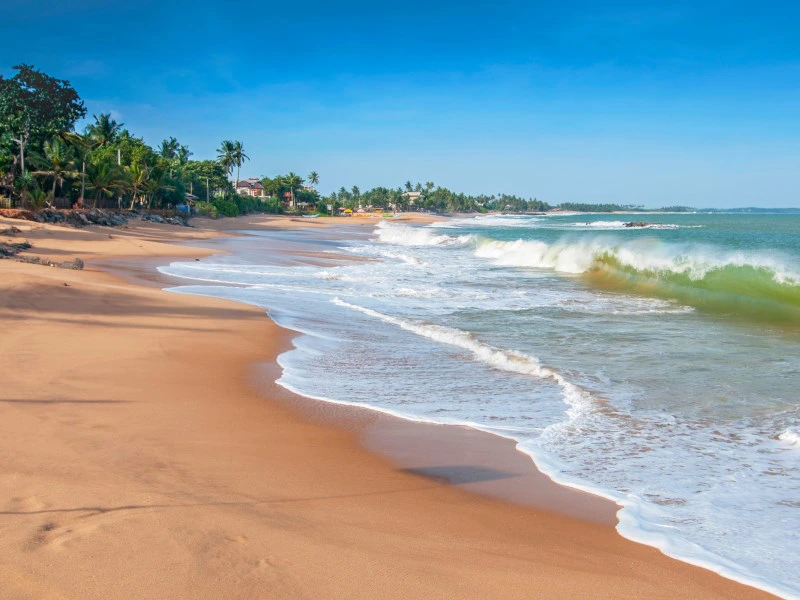 Strand in Unawatuna Sri Lanka