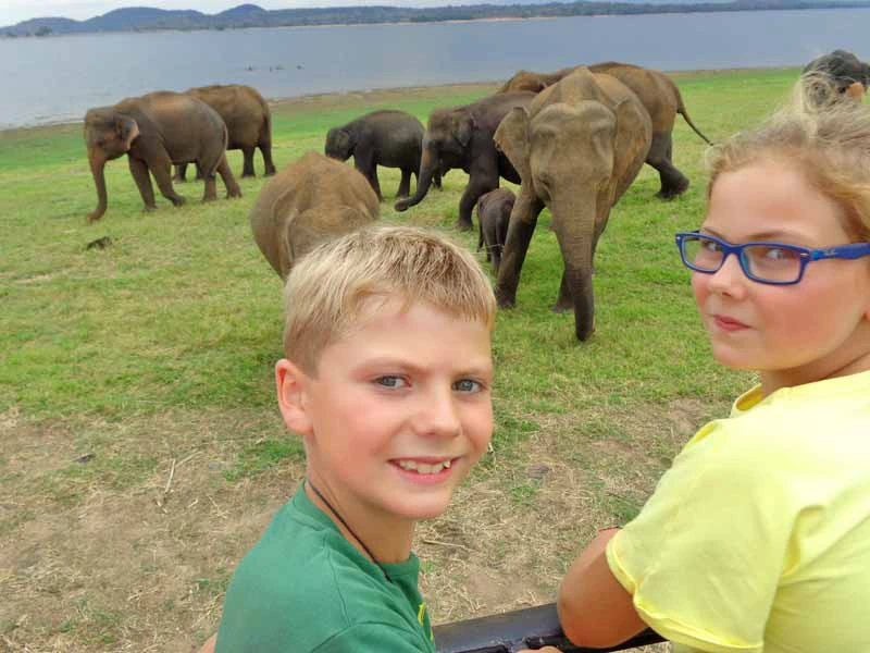 Sri Lanka Safari