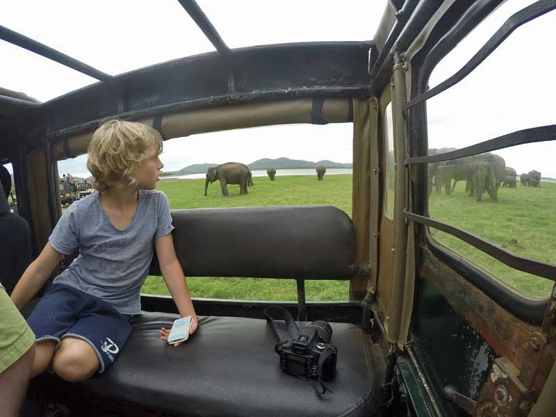 Sri Lanka Safari