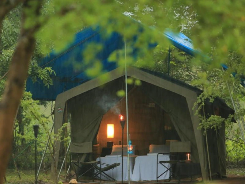 tented camp Wilpattu