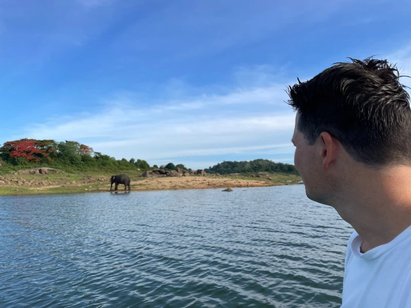 Olifant