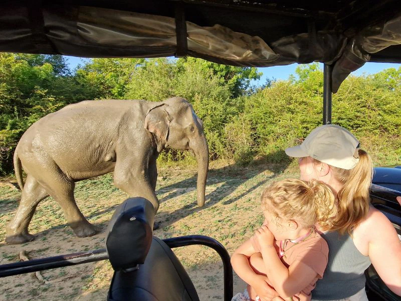 Moeder en dochter bekijken vanuit de Jeep een langslopende olifant.