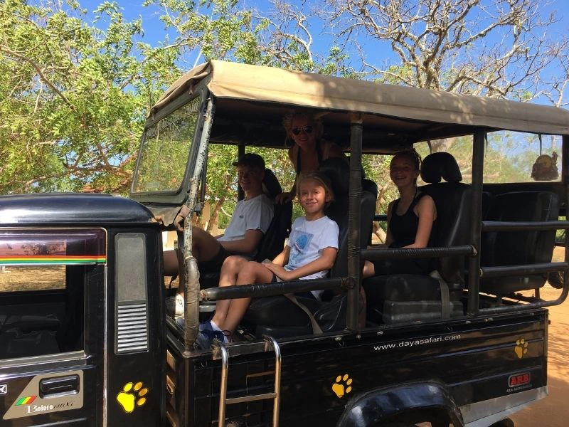 Familie zit in een jeep tijdens een safari.