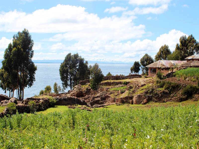Homestay Titicaca meer