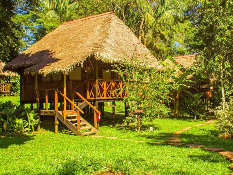 Amazone Peru Kids - comfort lodge