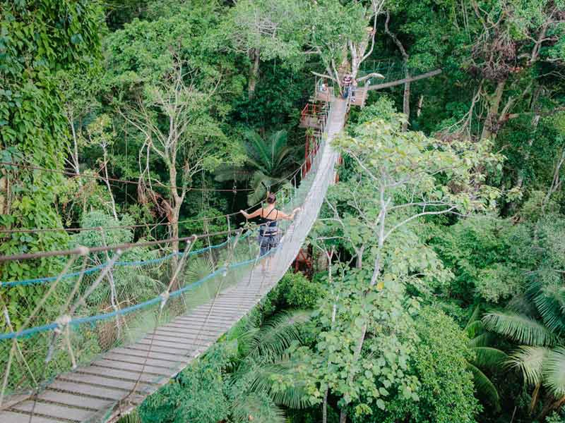 Amazone Peru Kids - canopy walk