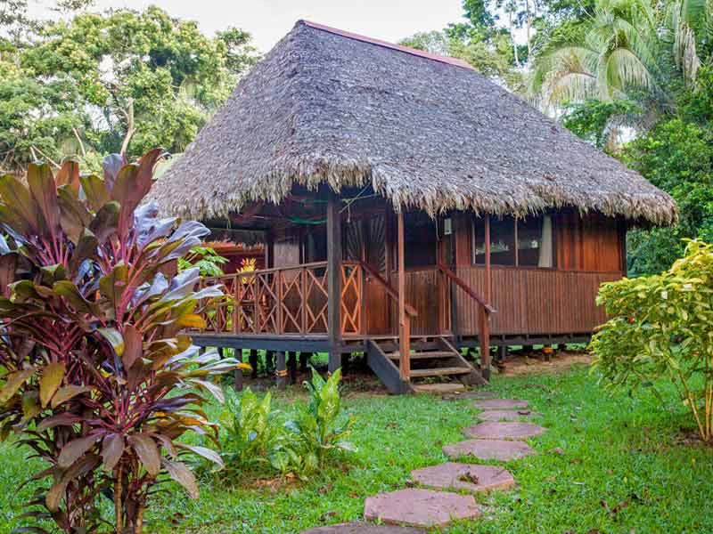 Amazone Peru Kids - comfort jungle lodge bungalow
