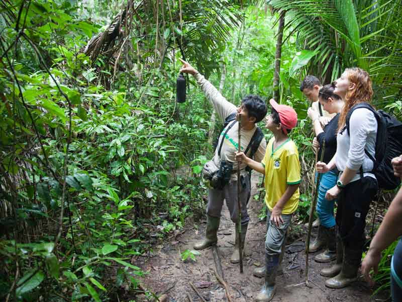 Amazone Peru Kids - jungle walk