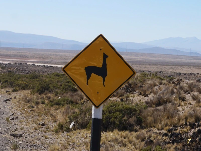 Peru - Arequipa to Colca canyon