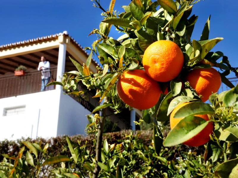 oost-algarve-riksja-family-portugal-quinta-tuin