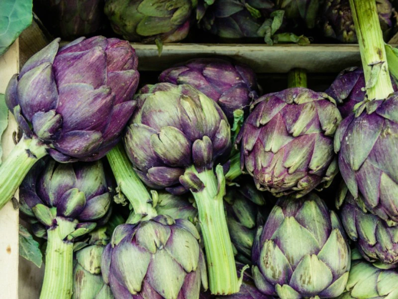 artisjokken eten in Frankrijk