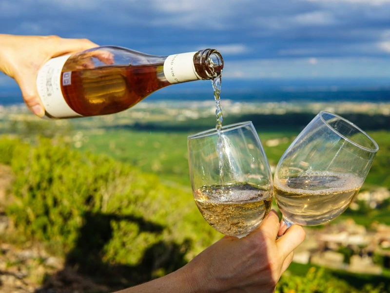 wijn proeven in frankrijk