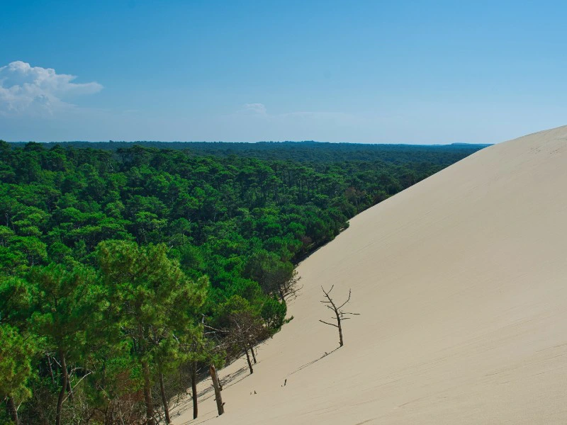 dune du pilat bij bordeaux