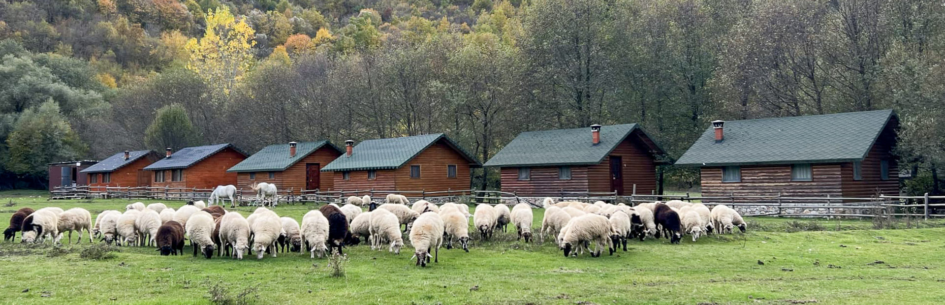 leskovik boerderij albanie