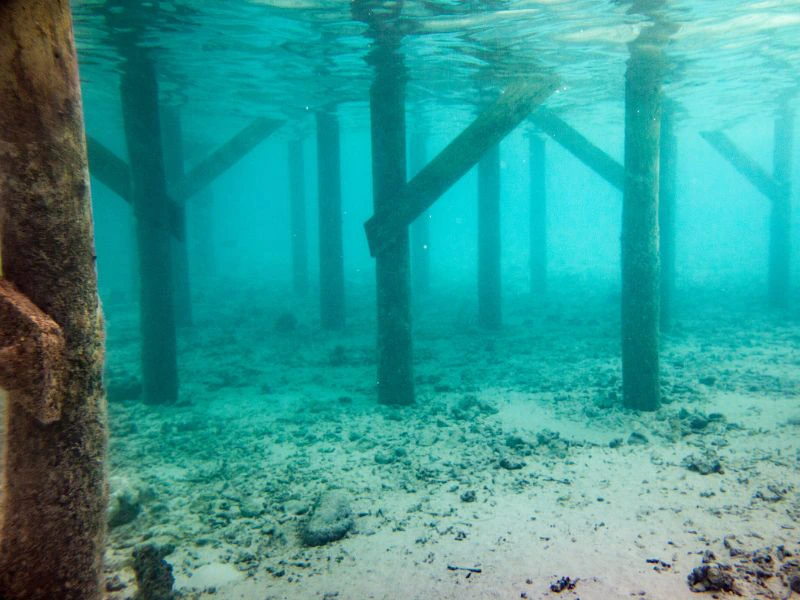 duiken ohrid meer (2)