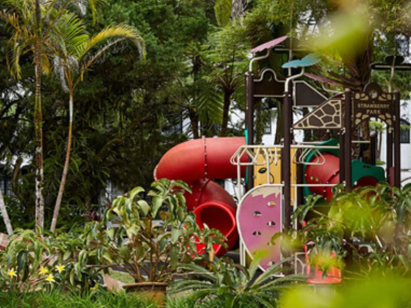 hotel - Cameron highlands