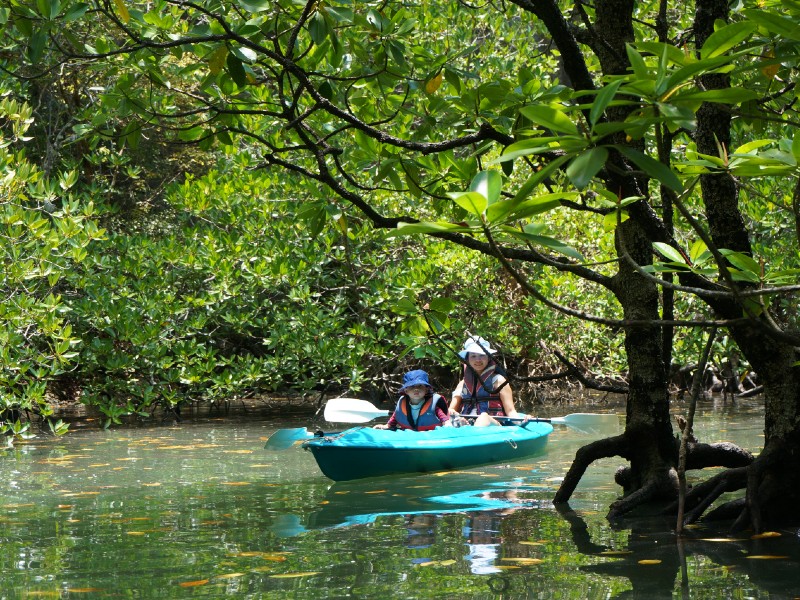 Damai kajakken