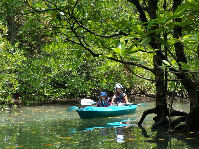 Damai kajakken