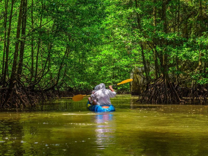 Kayak Endau Rompin