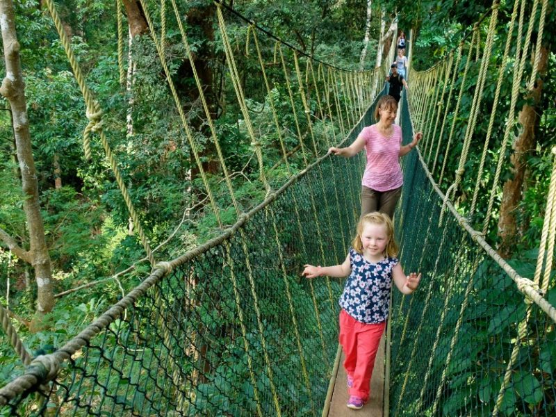 Camping Le Nid d été