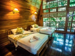 Jungle lodge, Tbain
