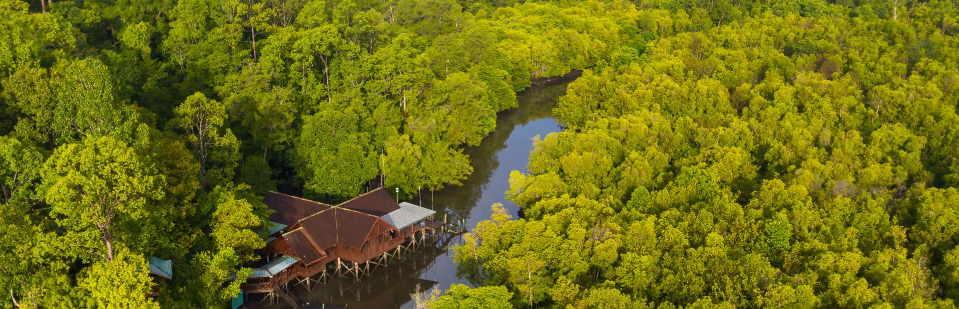Rivier door Borneo