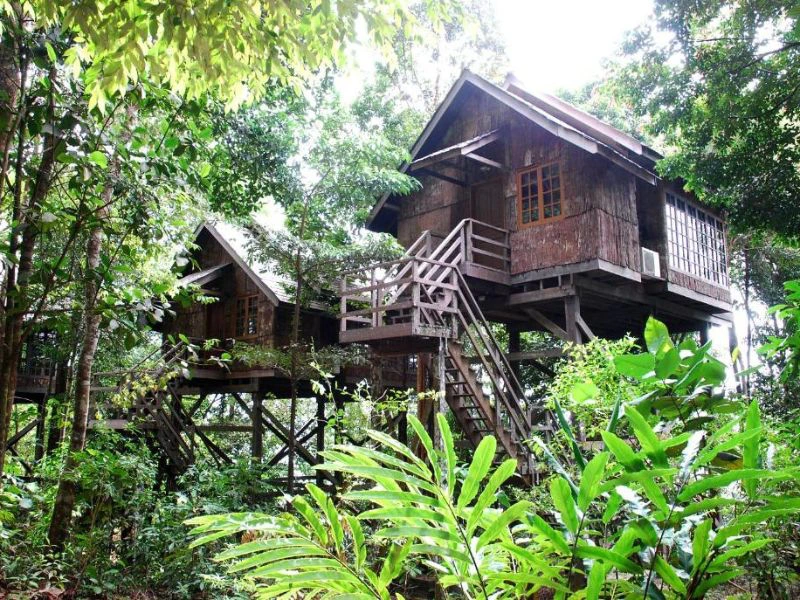 Boomhut in de jungle