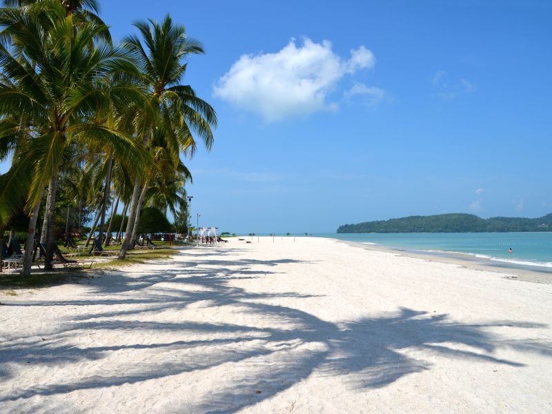 Palmbomen op het strand in Langkawi