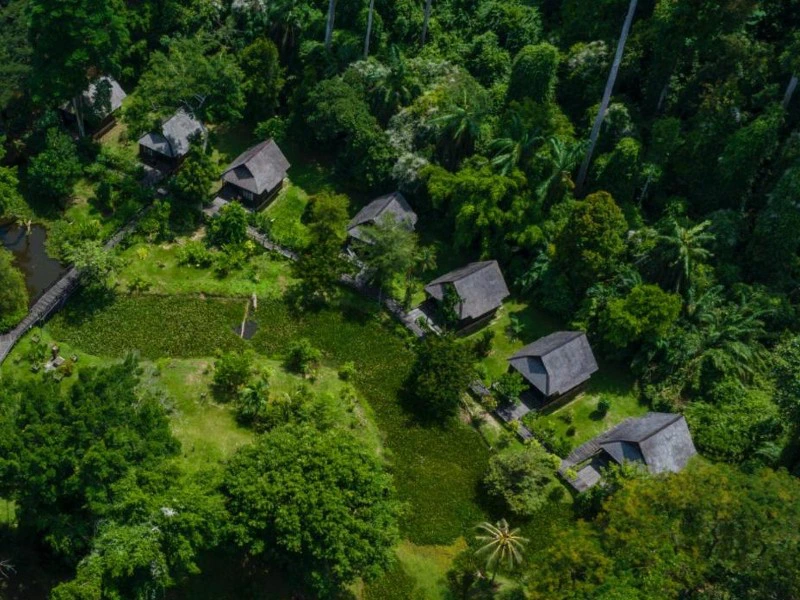 Sepilok lodge