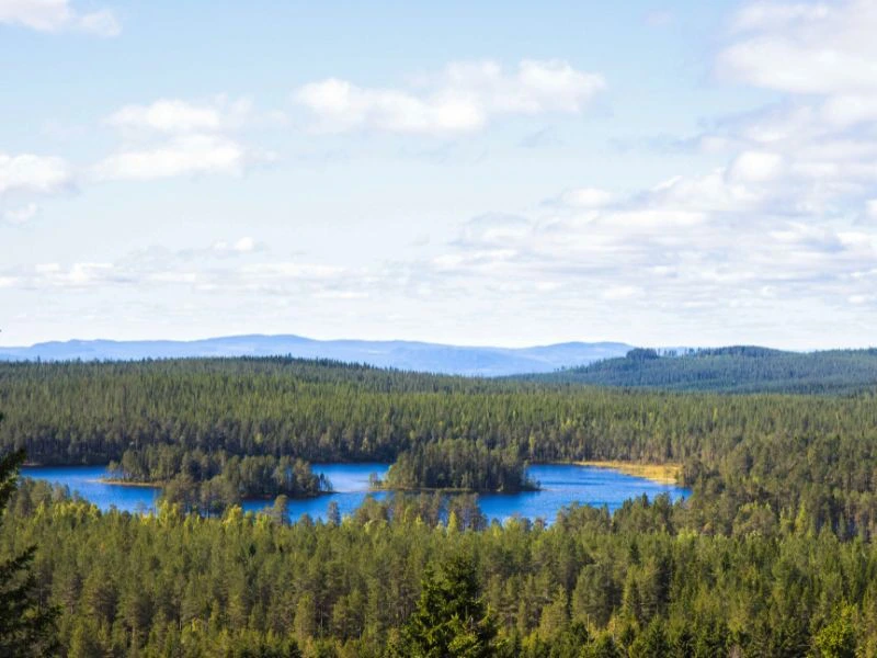 Uitzicht Dalarna