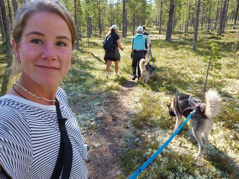 Husky tocht, Idre, Zweden