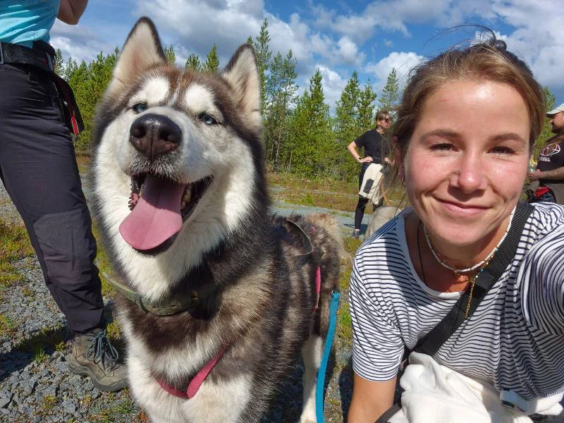 Husky tocht, Idre, Zweden