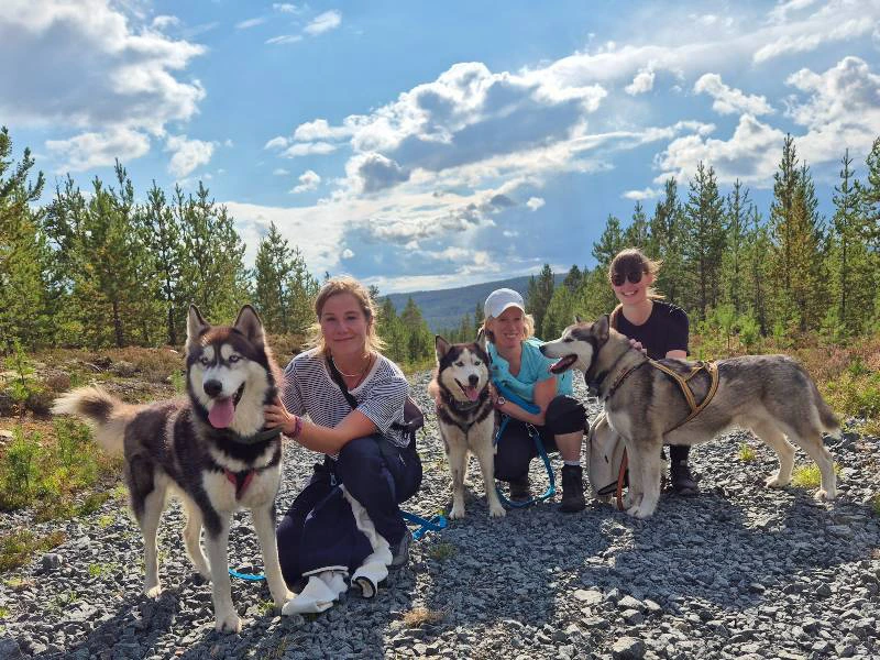 Husky tocht, Idre, Zweden