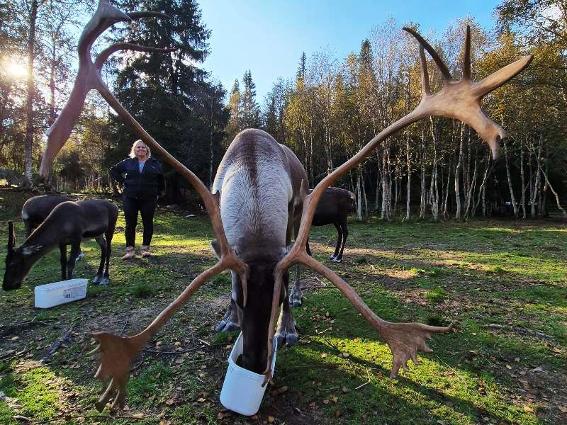 Idre, Dalarna, Zweden