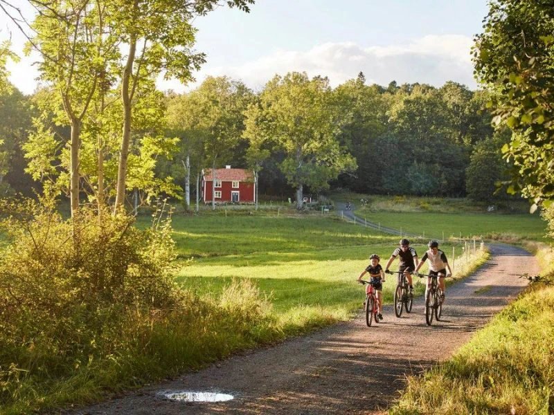 Zweden fietsen in de zomer