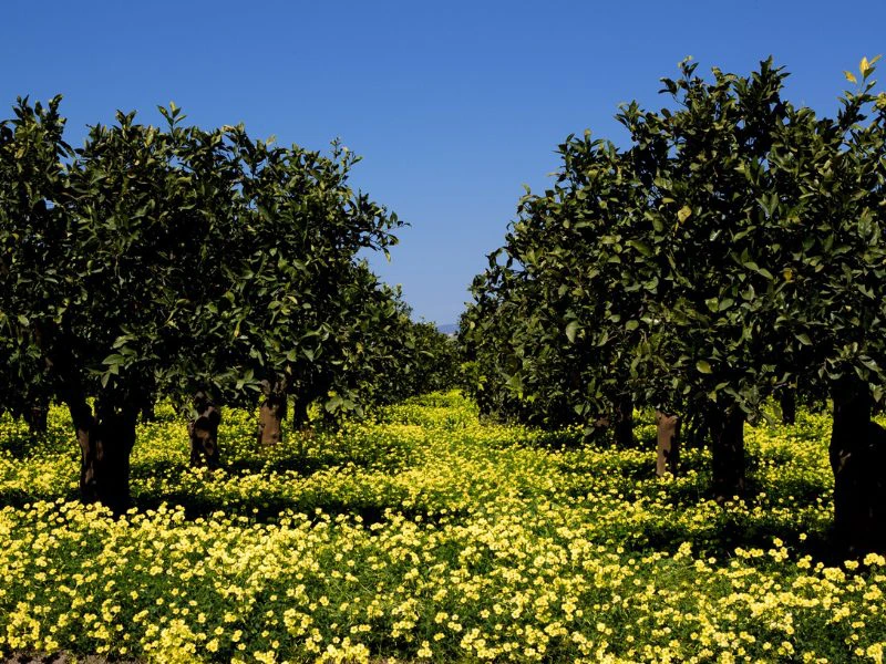 Sicilië - vakantie in de lente