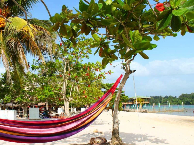 Hangmat tijdens je Suriname rondreis