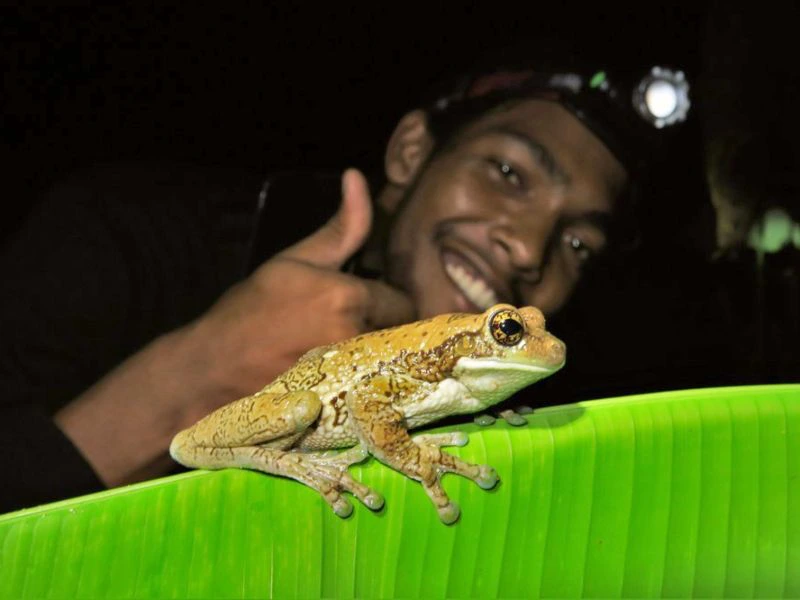 Nachttour hoogtepunt bij Peperpot Natuurpark Suriname