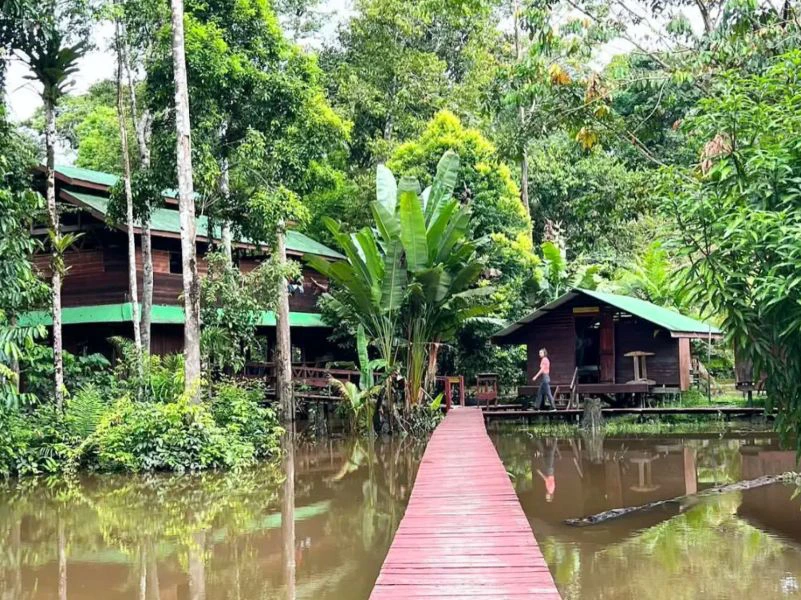 Je Suriname slaapplek