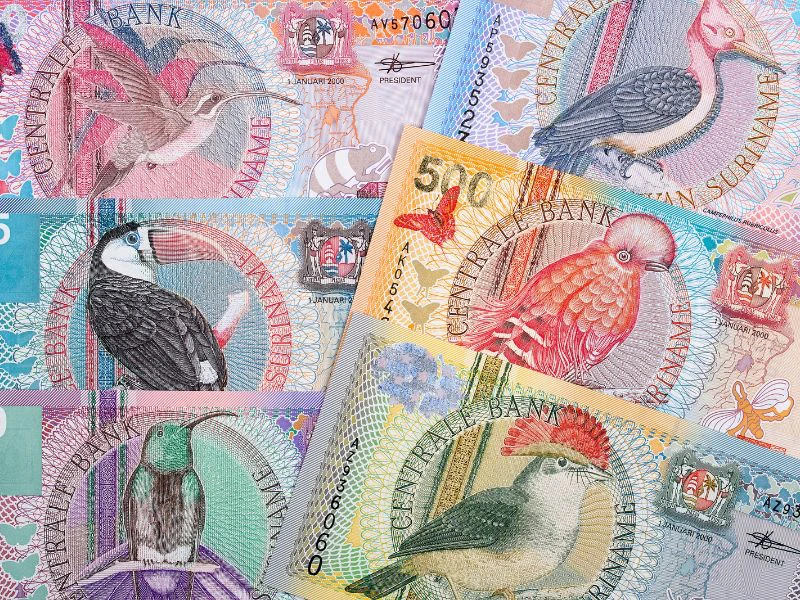 Suriname - bronsberg