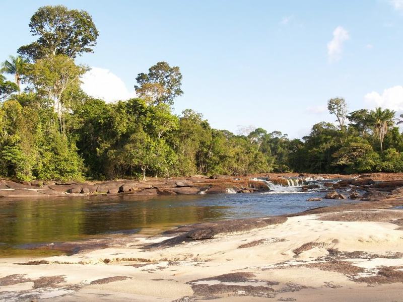 De waterkant aan de Surinamerivier