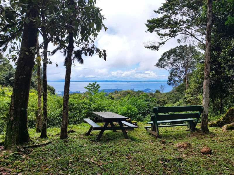 Uitzichtpunt met picknicktafels bovenop de Brownsberg