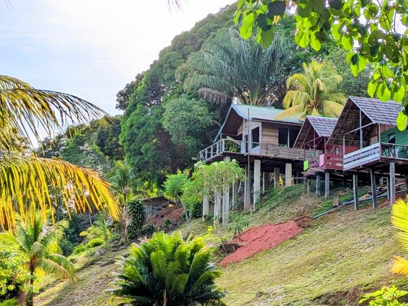 Accommodaties in Boven-Suriname