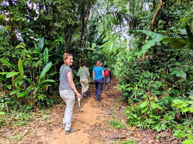 Reizigers aan het wandelen door de jungle