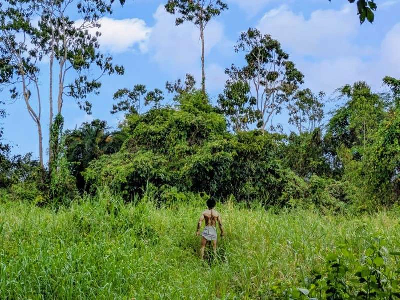 Uitsnee van de vrijheidsstrijder Boni in een veld langs de boni trail.