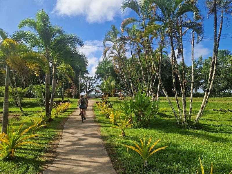 Een fietspad Door Frederiksdorp met palmbomen