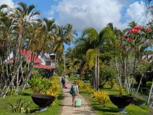 Oude plantagehuizen die zijn omgebouwd tot accommodaties midden in de natuur.